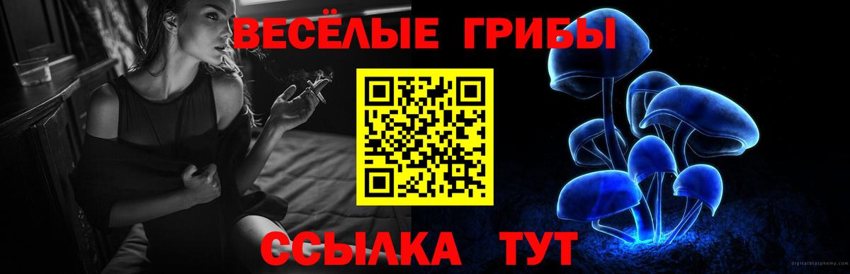 Псилоцибиновые грибы прущие грибы Туймазы